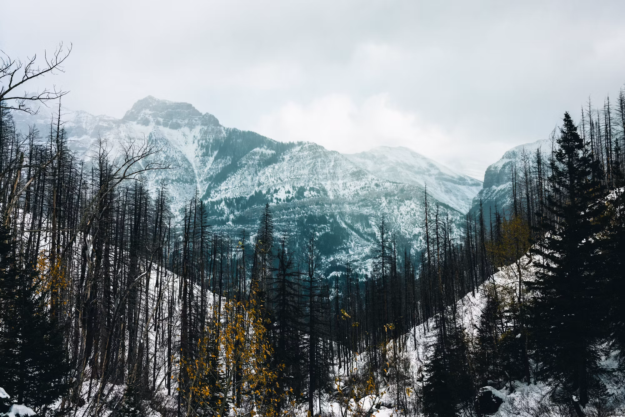 A Comprehensive Guide to Sustainable Camping: How to Explore Nature While Preserving It